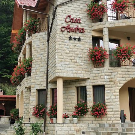 Casa Andra Hotell Slănic-Moldova Exteriör bild