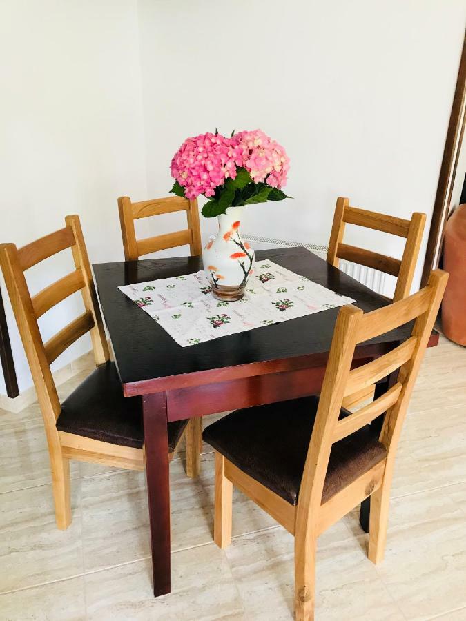 Casa Andra Hotell Slănic-Moldova Exteriör bild